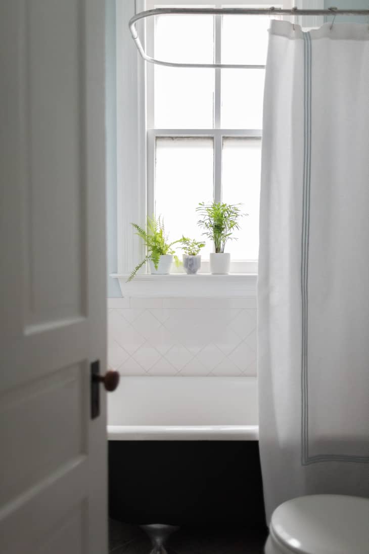 How to Clean Shower Curtain Liner Apartment Therapy